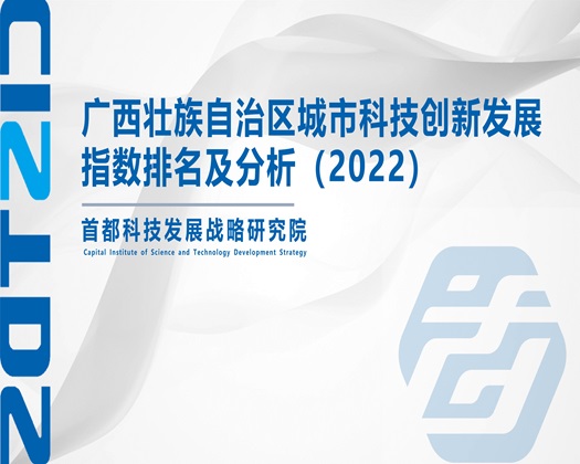 肏小穴365p【成果发布】广西壮族自治区城市科技创新发展指数排名及分析（2022）